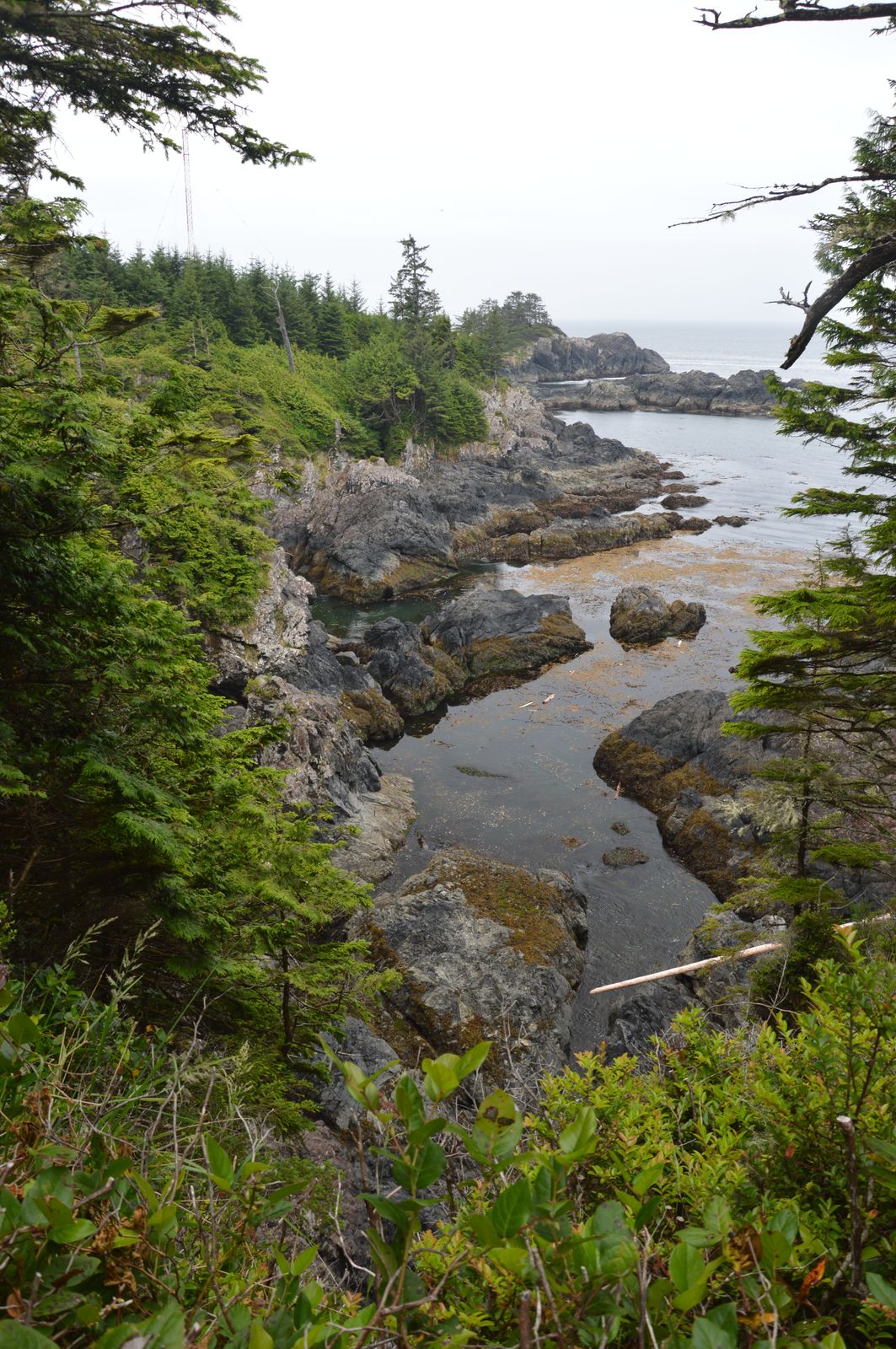 Ucluelet