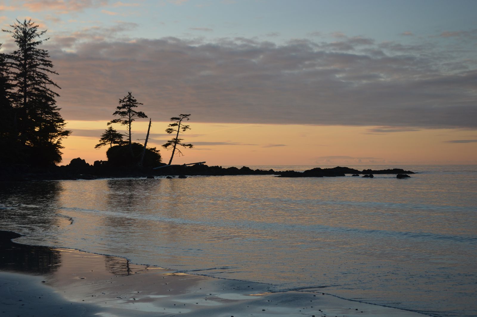 Cape Scott - Nissen Bight